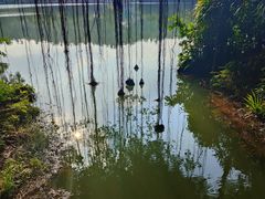 -珠海圆明新园