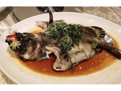 -金苑海鲜酒家(来魅力店)