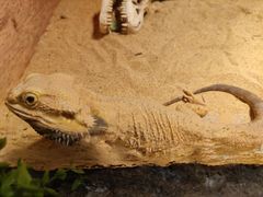 -多彩贵州城极地海洋世界