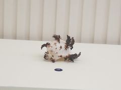 -青岛贝壳博物馆