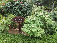 -洛阳市牡丹公园