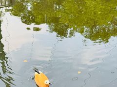 -合肥野生动物园