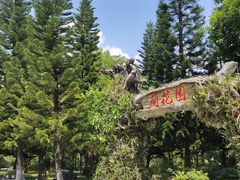 -东莞植物园