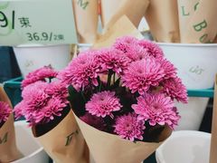 -BOBLOOM花店(宝龙旭辉广场店)