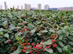 -尚贤河湿地