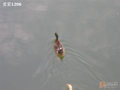 -紫竹院公园冰场