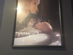 -百好乐宠物友好餐厅(朝外大街店)