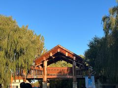 -野鸭湖国家湿地公园