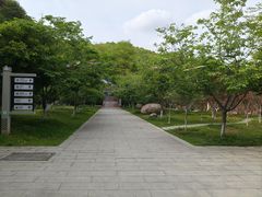 -广州市帽峰山景区