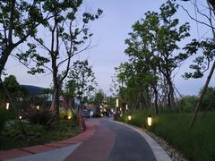 -三圣花乡旅游区