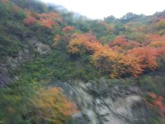 -青峰峡国家森林公园