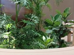 -银隆百货(萧山店)