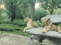 -北京野生动物园