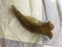 -三好倪氏龙虾(日规路店)