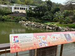 -石排湾郊野公园