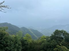 -莫干山风景区