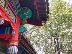 -内蒙古将军衙署博物院