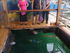 -蓝湾碧波·老字号·疍家非遗海上餐厅