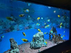 -海合安成都极地海洋公园