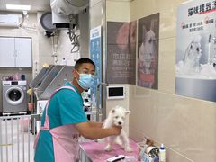 -北京观赏动物医院·24小时大型综合·猫专科·异宠专科