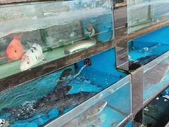 -浔味·山屿湖·正宗淳牌全鱼宴老字号