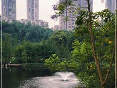 -重庆彩云湖湿地公园