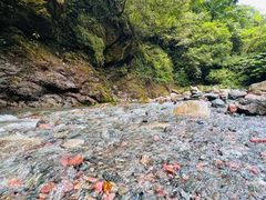 -西岭雪山大飞水景区