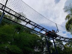 -藏龙百瀑风景区