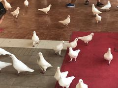 -王府井奥莱临潼小镇(临潼店)