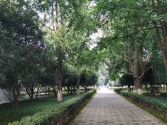 -四川大学(华西校区)