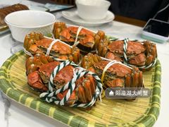 -蟹天蟹地农家菜·阳澄湖大闸蟹(浅水湾店)