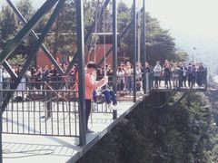 -梦幻奥陶纪景区