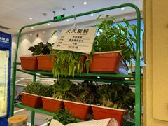 -山东宾馆·齐鲁苑餐厅