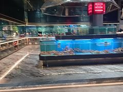 -阿伟海鲜楼·福建菜(延寿店)