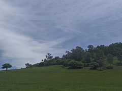 -关山草原