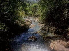 -广州白江湖森林公园