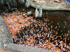 -荔城生鲜盛宴(番禺旗舰店)