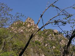 -大岭沟猕猴桃谷风景区