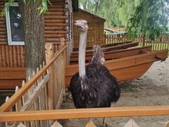 -白渔泡湿地公园