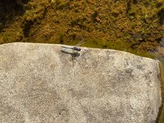 -孔雀湖生态旅游区