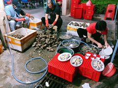 -花苑美食横琴生蚝火锅(拱北粤华路店)