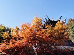 -韩湘水博园