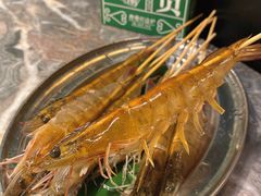 生勐游水虾-禄婶鸡煲·打边炉