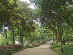 -大渡口区义渡公园