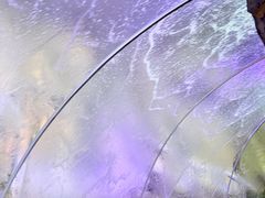 -哈尔滨波塞冬海底世界