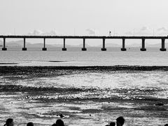 -宝安西湾红树林湿地公园