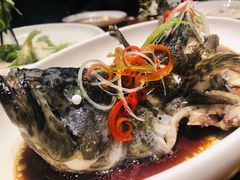 -必点海鲜·鲅鱼水饺(鞍山西道店)
