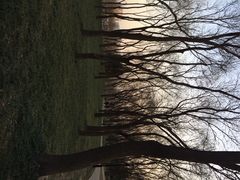 iphone_upload_pic-玲珑塔公园
