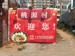 -桃源村铁锅炖鱼(体育馆道店)