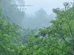 -藏龙百瀑风景区